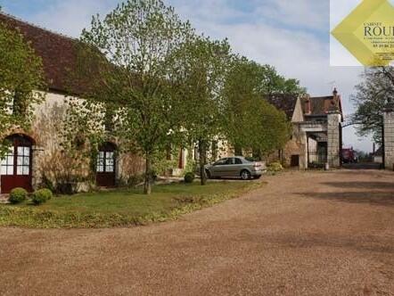 Castle Néons-sur-Creuse - 10 bedrooms - 540m²