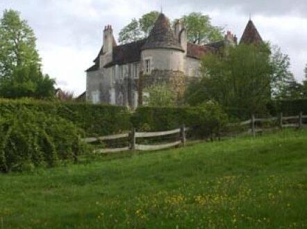 Castle Néons-sur-Creuse - 10 bedrooms - 540m²