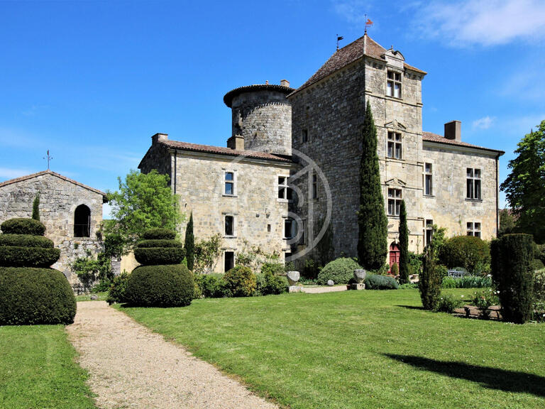Vente Château Nérac - 7 chambres
