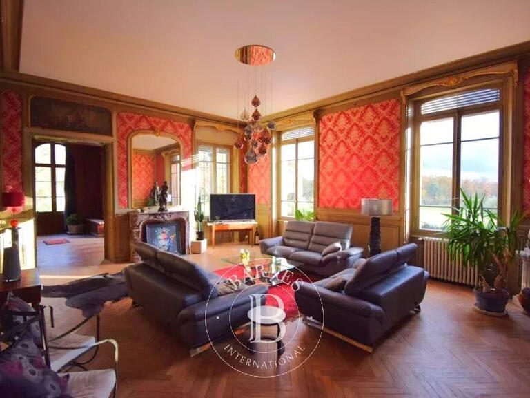 Castle Neuvy-sur-Barangeon - 7 bedrooms - 423m²