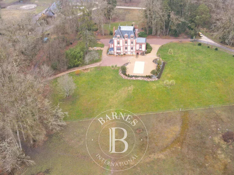 Castle Neuvy-sur-Barangeon - 7 bedrooms - 423m²