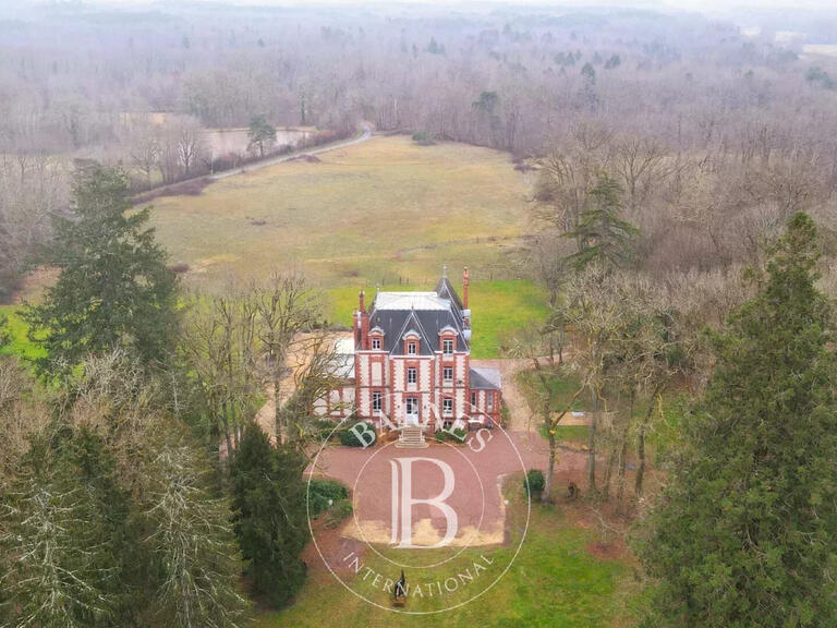 Castle Neuvy-sur-Barangeon - 7 bedrooms - 423m²