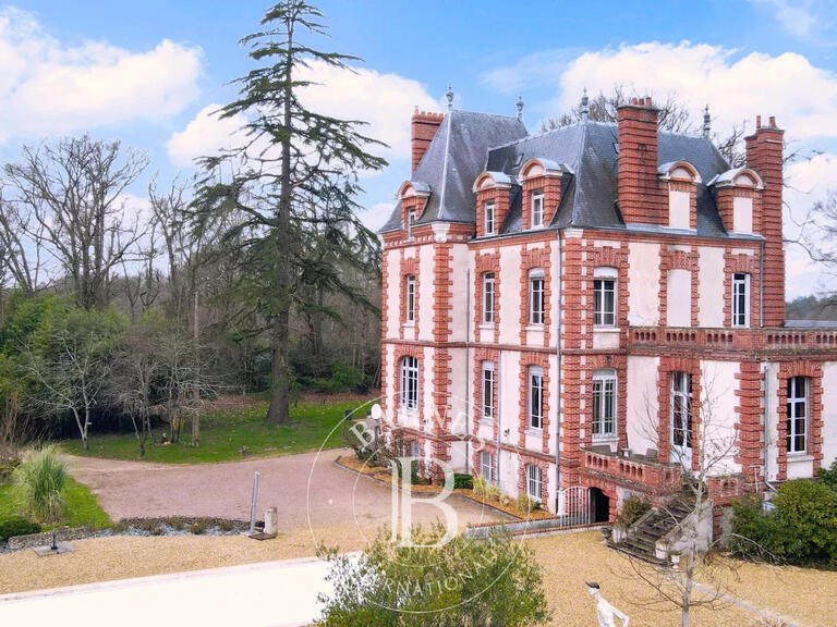 Castle Neuvy-sur-Barangeon - 7 bedrooms - 423m²