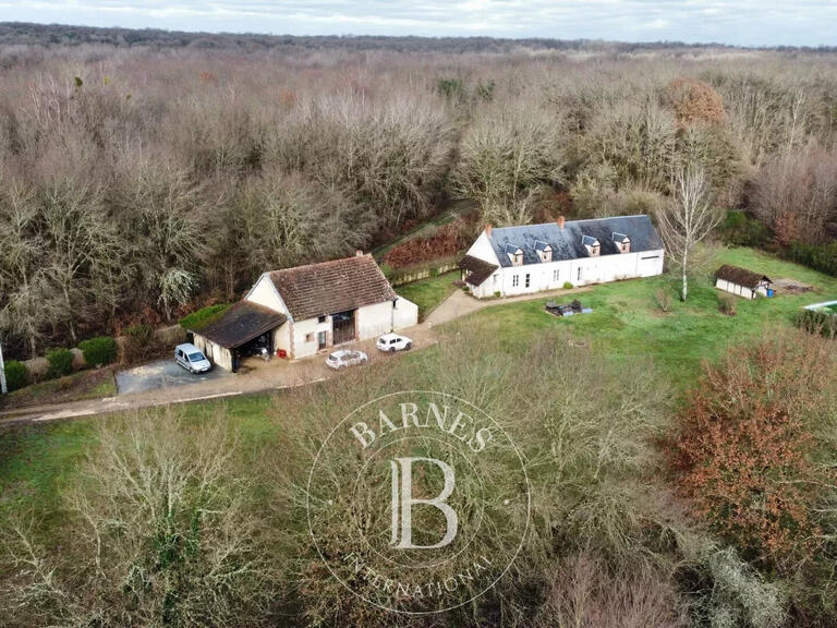 House Neuvy-sur-Barangeon - 7 bedrooms - 230m²