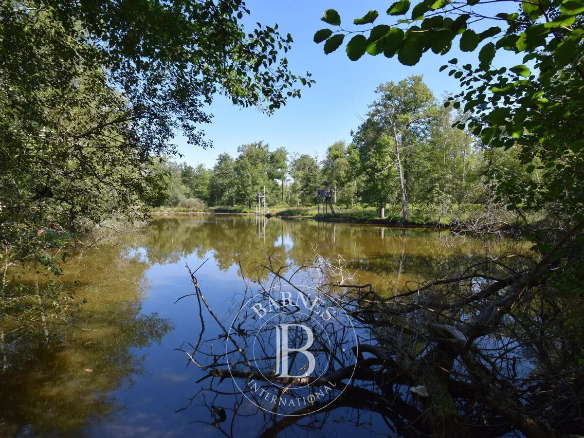 Propriété Neuvy-sur-Barangeon