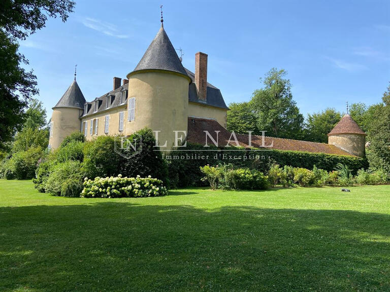 Castle Nevers - 8 bedrooms - 612m²