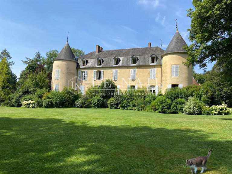 Castle Nevers - 8 bedrooms - 612m²