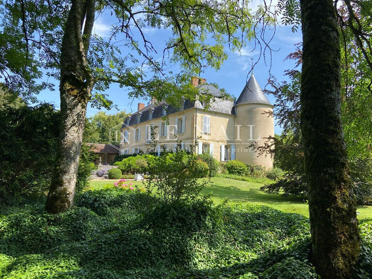 Castle Nevers - 8 bedrooms - 612m²