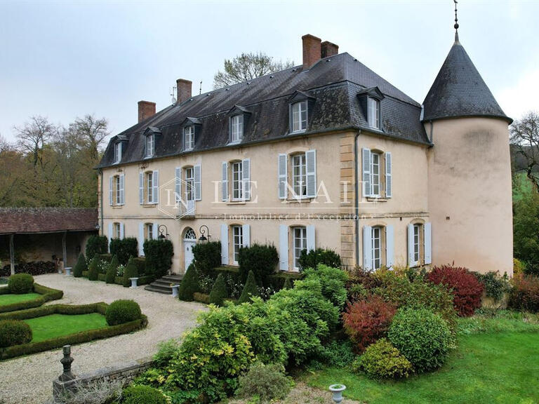 Castle Nevers - 8 bedrooms - 612m²