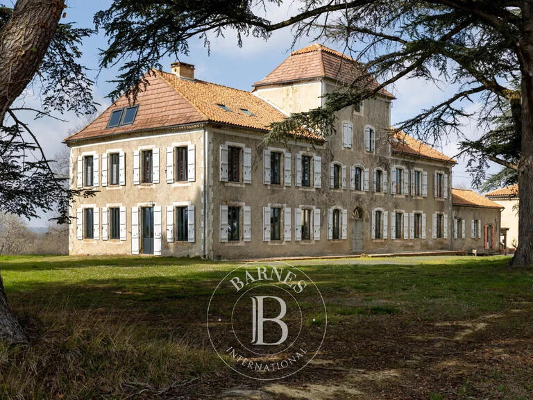 Château Nogaro - 12 chambres - 900m²