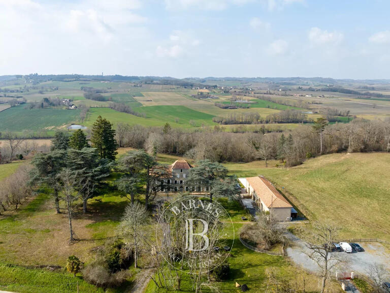 Castle Nogaro - 12 bedrooms - 900m²