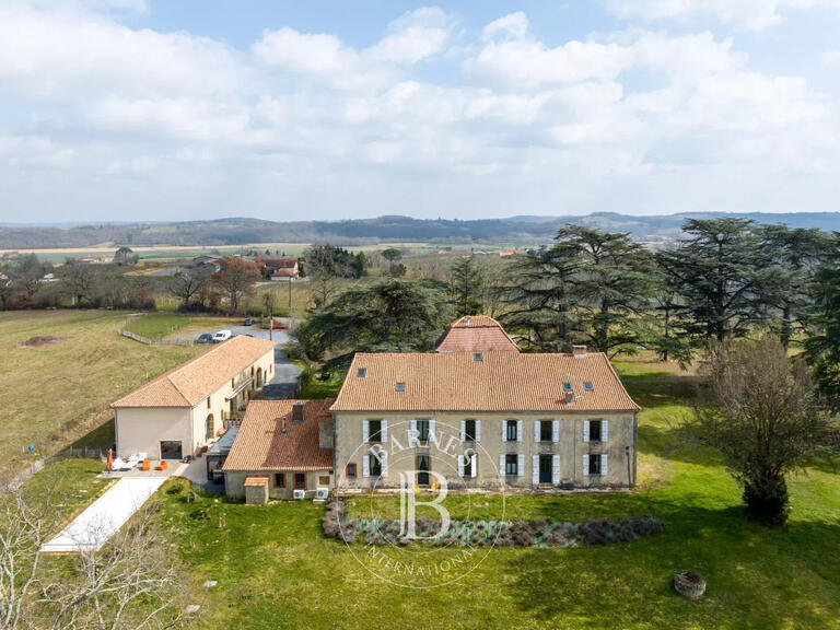 Castle Nogaro - 12 bedrooms - 900m²