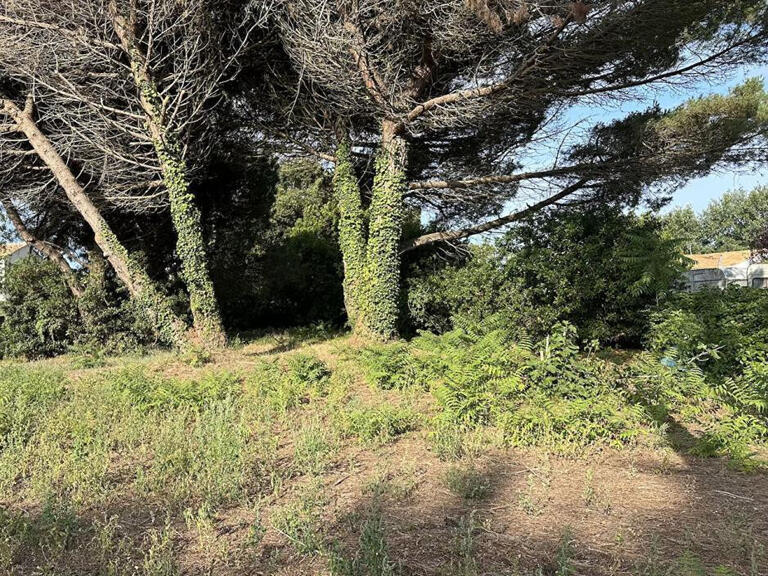 Vente Terrain Noirmoutier-en-l'Île