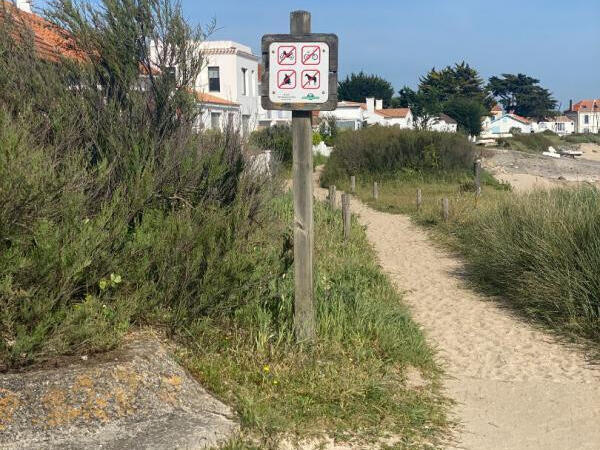 Vente Terrain Noirmoutier-en-l'Île