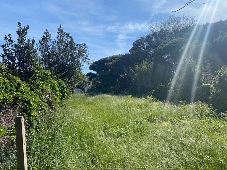 Land Noirmoutier-en-l'Île