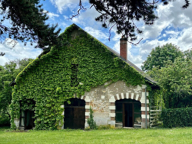 Vente Château Nouzilly - 5 chambres