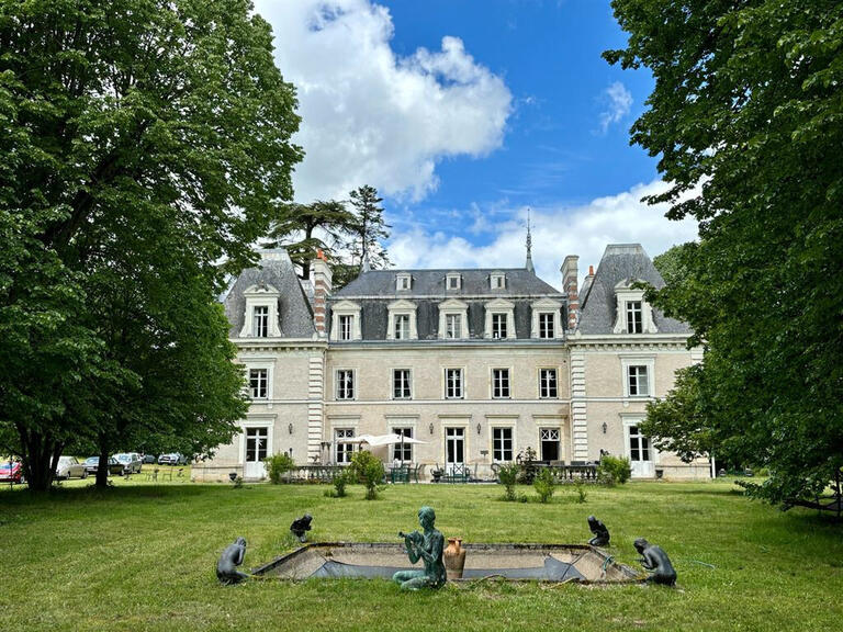 Vente Château Nouzilly - 5 chambres