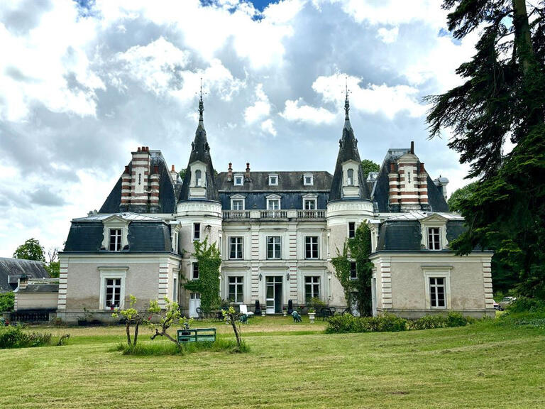 Vente Château Nouzilly - 5 chambres
