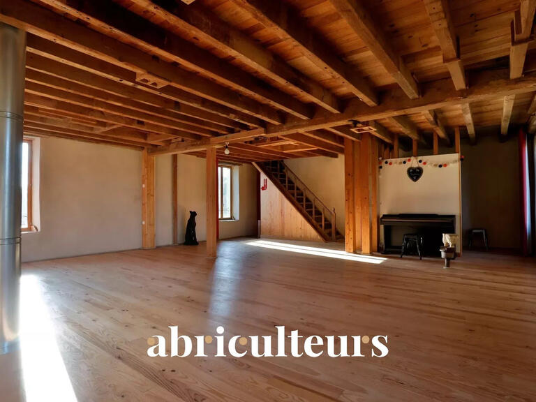 Maison Noyant-d'Allier - 10 chambres - 241m²