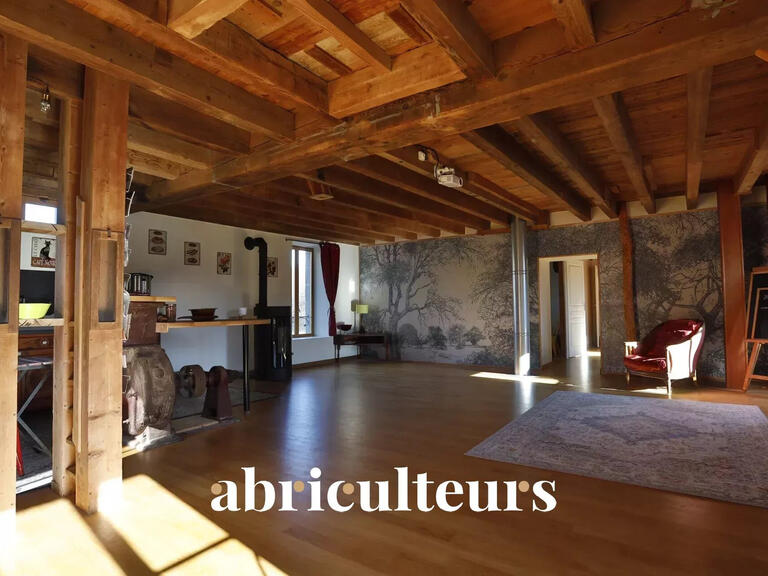 Maison Noyant-d'Allier - 10 chambres - 241m²