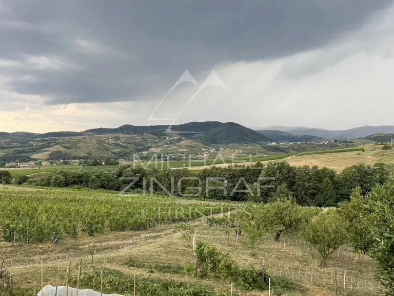 Vineyard Odenas - 576m²