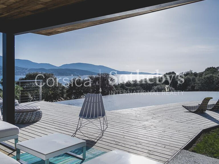 House Olmeto - 5 bedrooms - 600m²