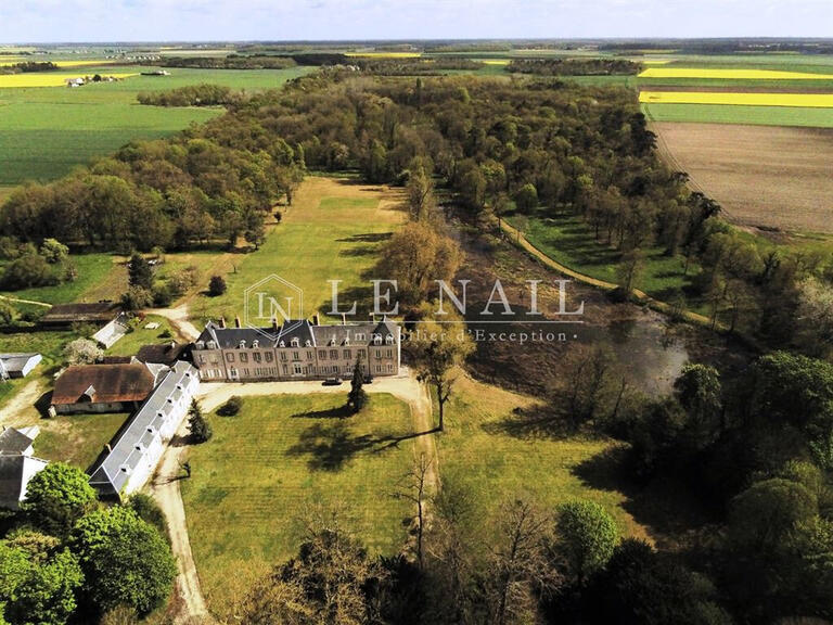 Sale Castle Orléans - 11 bedrooms