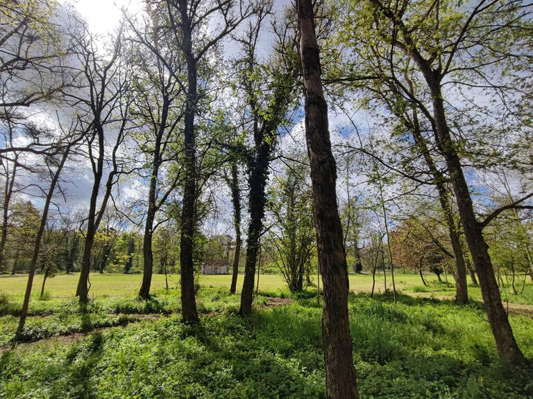 Vente Château Orléans - 11 chambres