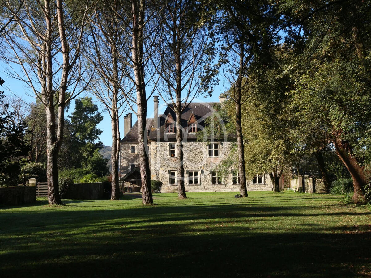 Castle Orthez