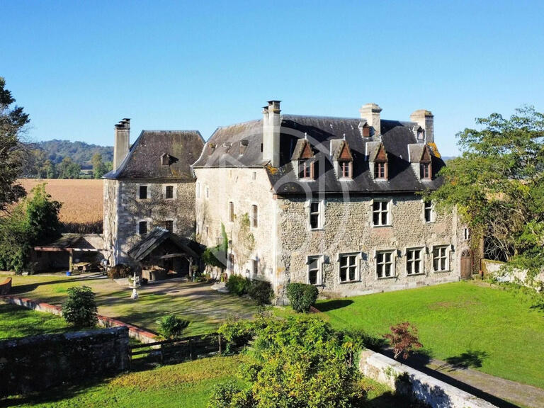 Castle Orthez - 10 bedrooms - 523m²