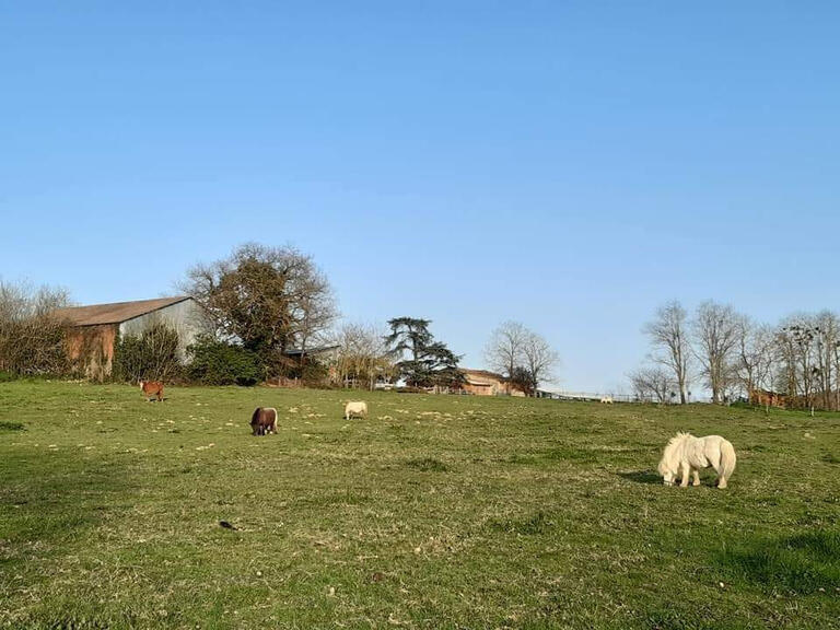 Vente Maison Parisot