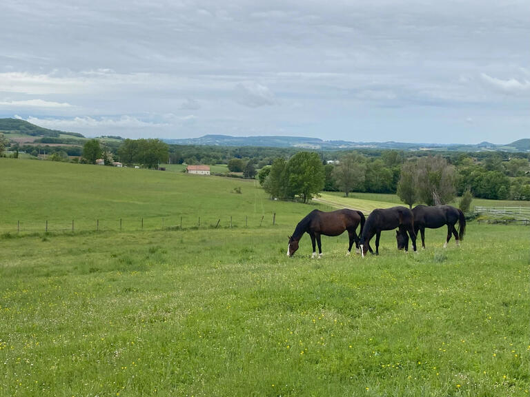 Propriété Penne-d'Agenais - 7 chambres - 1477m²