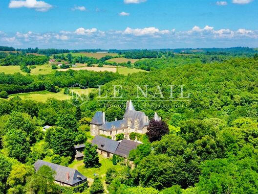 Castle Périgueux - 10 bedrooms - 640m²