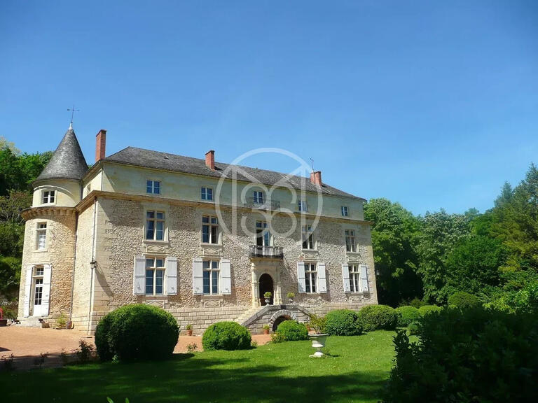 Castle Périgueux - 6 bedrooms - 180000m²