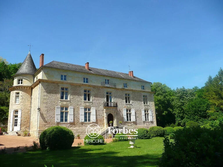 Castle Périgueux - 6 bedrooms - 180000m²