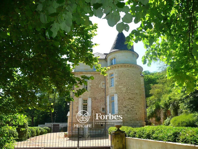 Château Périgueux - 6 chambres - 180000m²