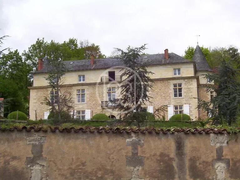 Château Périgueux - 6 chambres - 180000m²