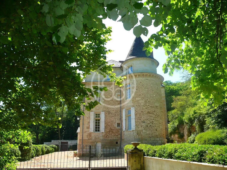 Château Périgueux - 6 chambres - 180000m²