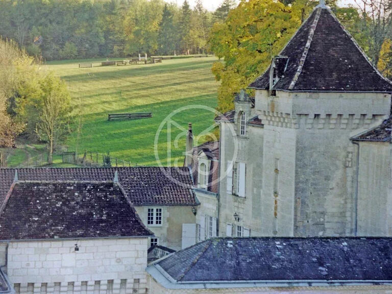 Castle Périgueux - 8 bedrooms - 700m²