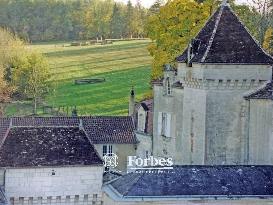 Castle Périgueux