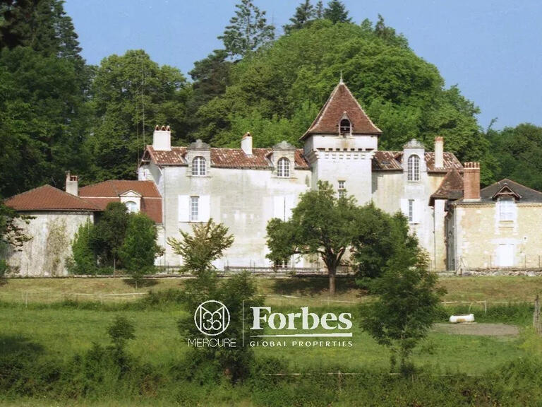 Castle Périgueux - 8 bedrooms - 700m²