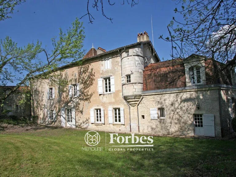 Castle Périgueux - 8 bedrooms - 700m²