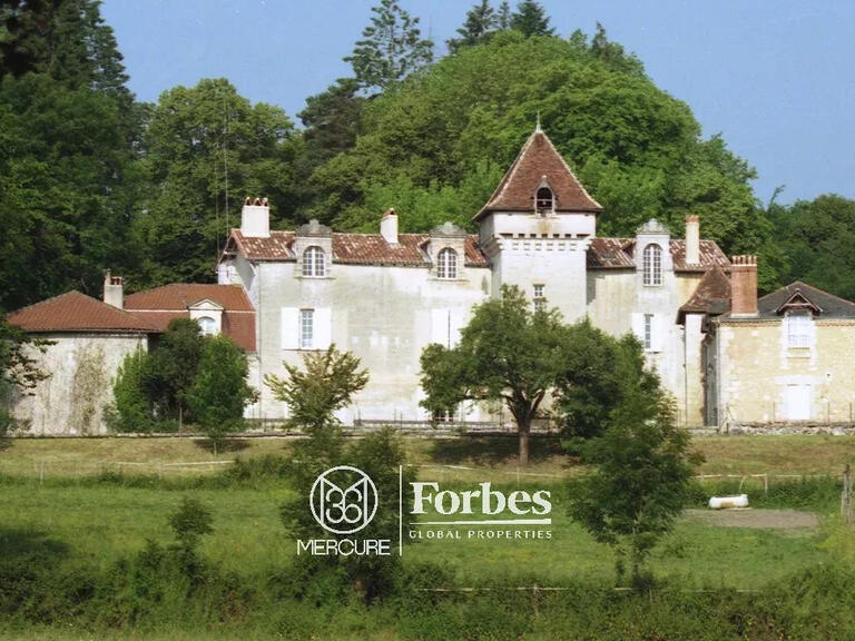 Castle Périgueux - 8 bedrooms - 700m²