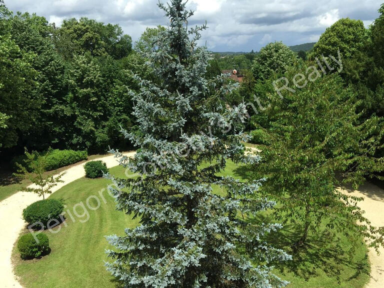 Vente Maison Périgueux - 10 chambres