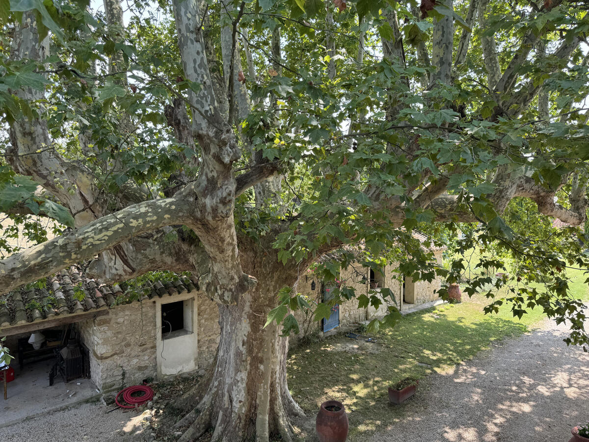 Maison Pernes-les-Fontaines