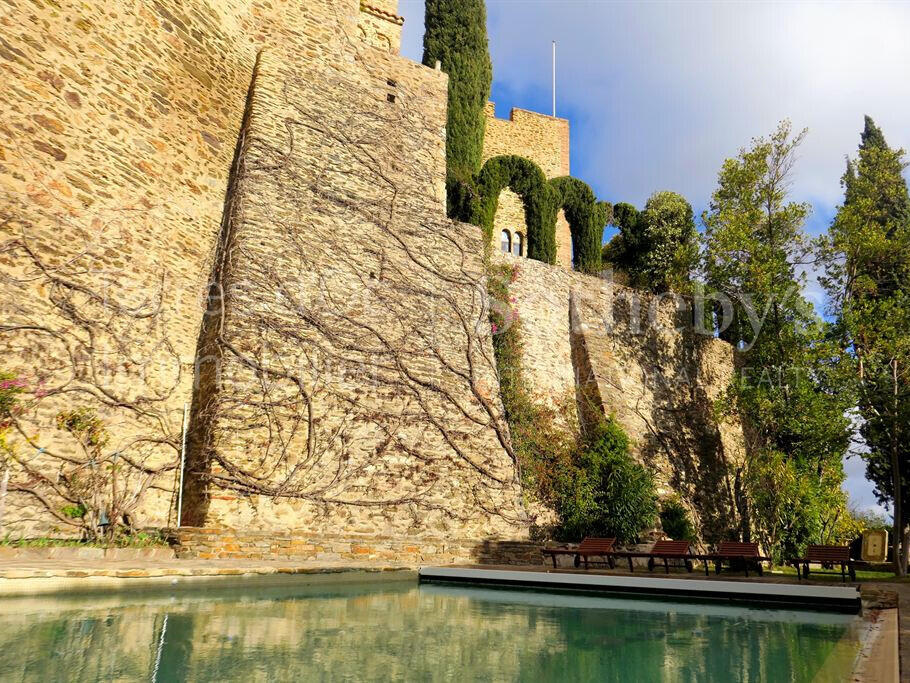 Castle Perpignan