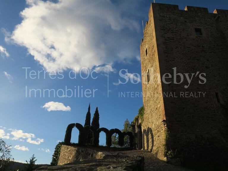 Vente Château Perpignan - 8 chambres