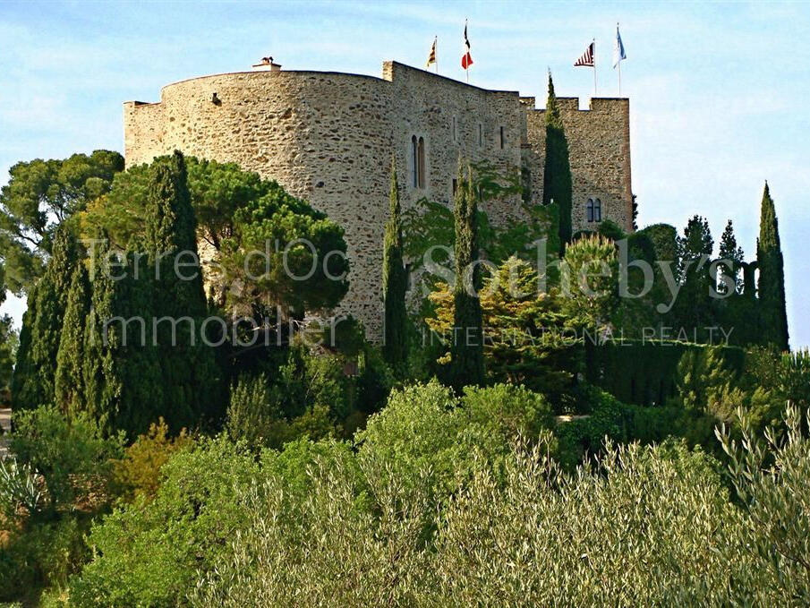 Castle Perpignan