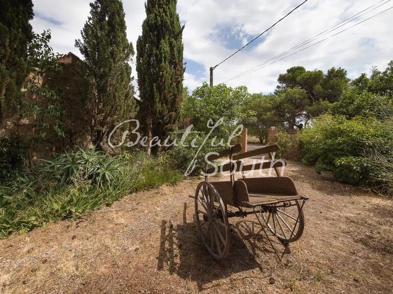 Maison Perpignan - 20 chambres - 956m²