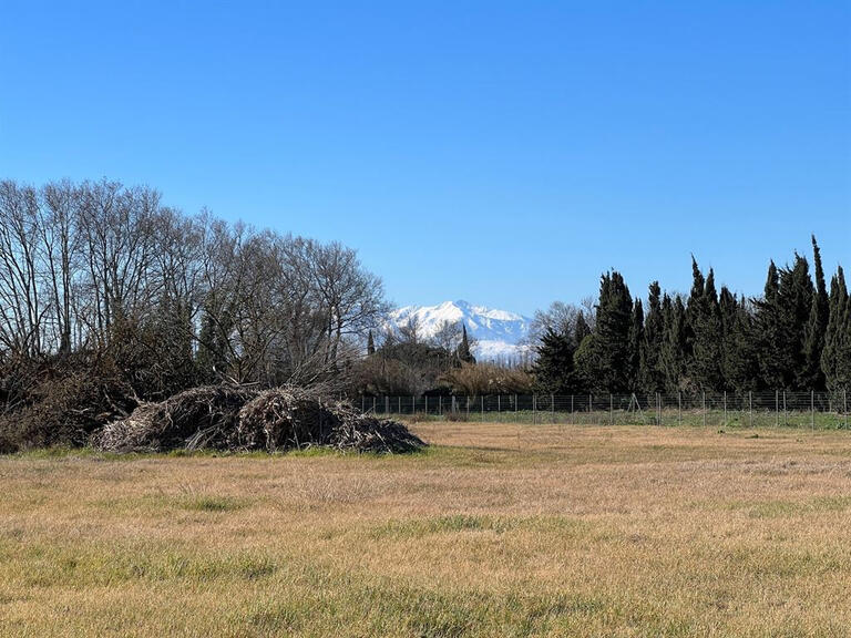 Vente Maison Perpignan - 6 chambres